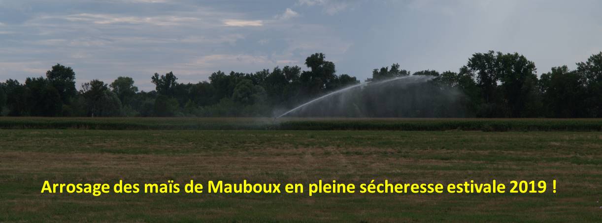 arrosage-may-s-Mauboux.jpg