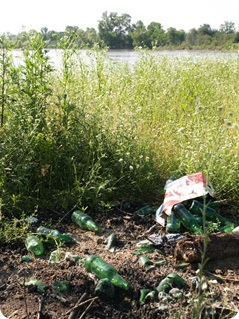 déchets en verre au bord de l'Allier