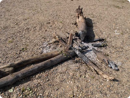 traces de feu eu bord de l'Allier