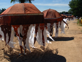 06.3- les mduses du Zbre (Laurence Plancke).jpg