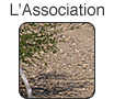 l'association