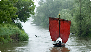 partenariat allier sauvage