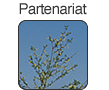 partenariat