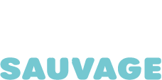 logo main