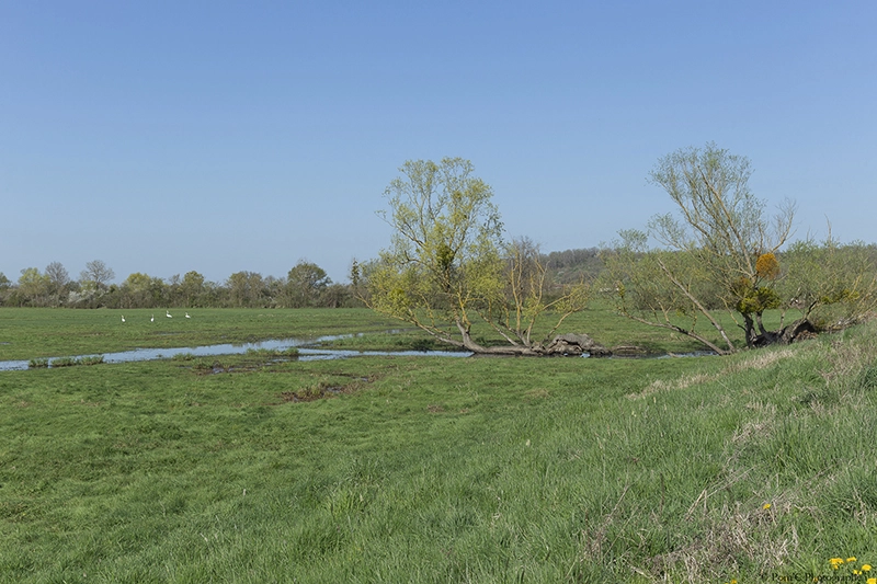 Les prairies de Paraize à Livry ©Caroline Pommier