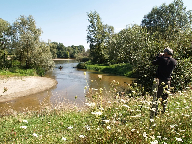 Observation Allier ©Allier Sauvage