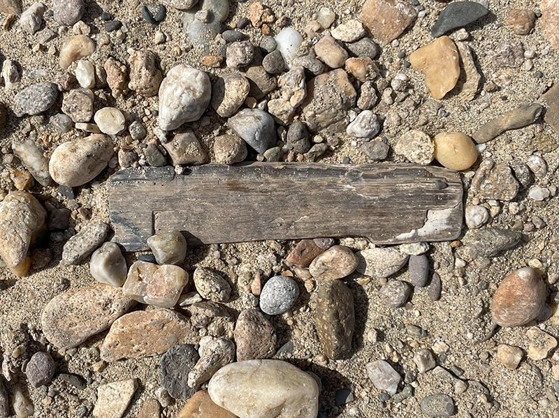 Bois silicifié ©Allier Sauvage