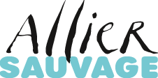 logo main